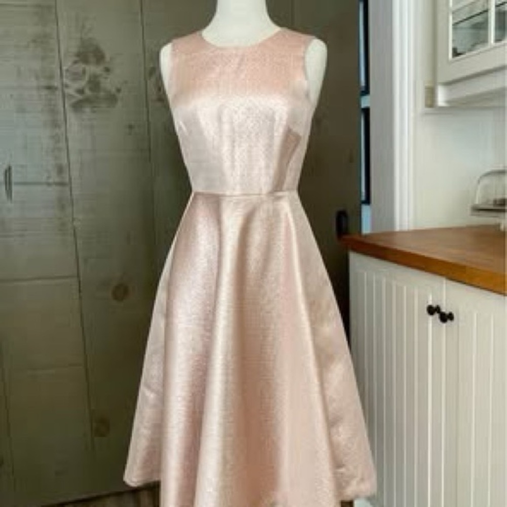 Special occasion dress by InWear Copenhagen. New with tags. Never worn. Size 4